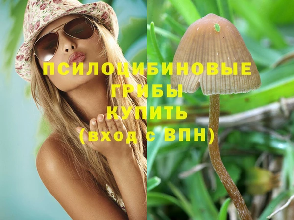 соль курить ск Переславль-Залесский