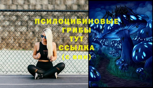 соль курить ск Переславль-Залесский