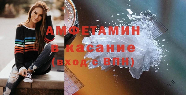 гашик Пересвет