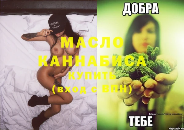 гашик Пересвет