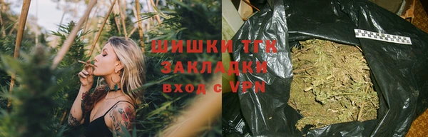 гашик Пересвет