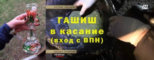гашик Пересвет