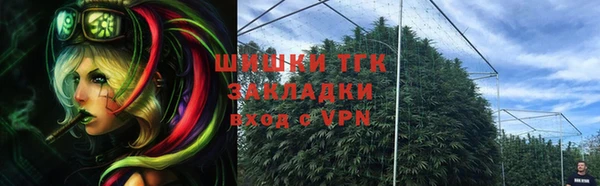 гашик Пересвет