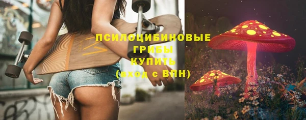 спайс Арсеньев