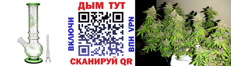 Каннабис индика Балтийск